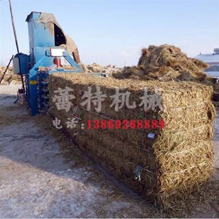 大（dà）型秸稈（gǎn）打包機