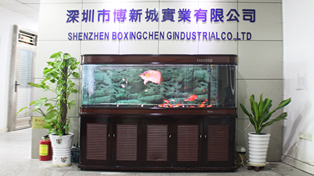 sss视频（chéng）